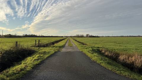 Photograph from the viewpoint: asphalted farm track between grassland, lined by ditches