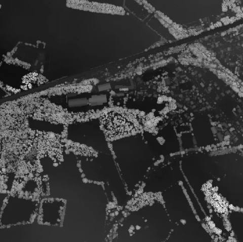 Digital surface model in greyscale: light areas show tall objects such as rows of trees and buildings, dark areas the open terrain