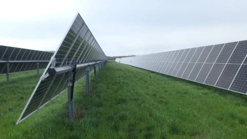 Reihen einachsiger Tracker mit bifazialen Modulen auf einer Wiese