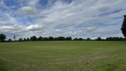 Photograph from the viewpoint: meadow with a row of trees on the horizon under a cloudy sky