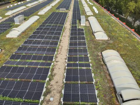 Aerial view of a photovoltaic installation on a green flat roof